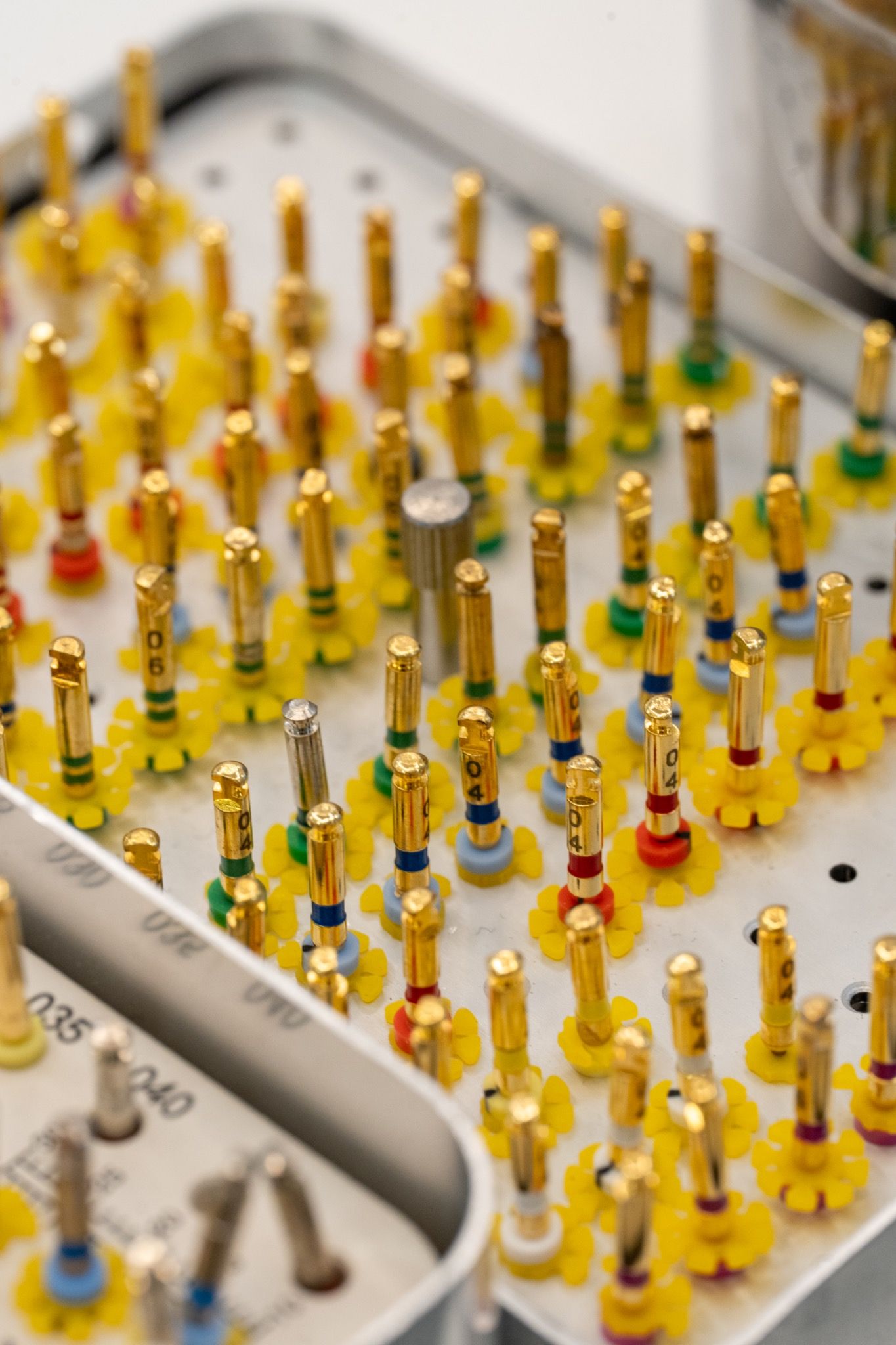 Close-up of clinical instruments arranged in a tray.
